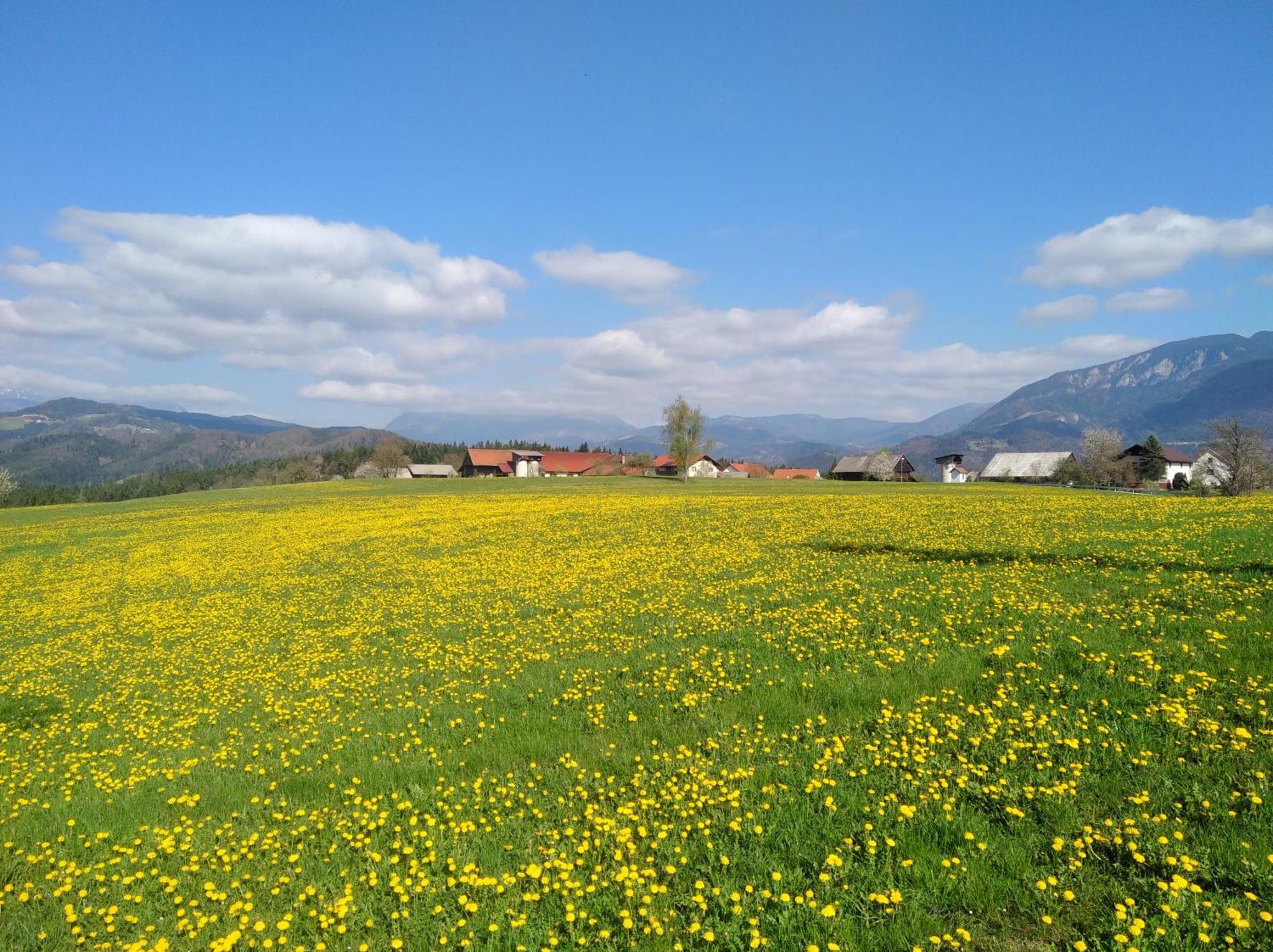 Apartment With Mountain View And Rivers Close By Smartno ob Dreti Esterno foto